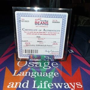 Ty Beanie Baby 'Web' with Certificate